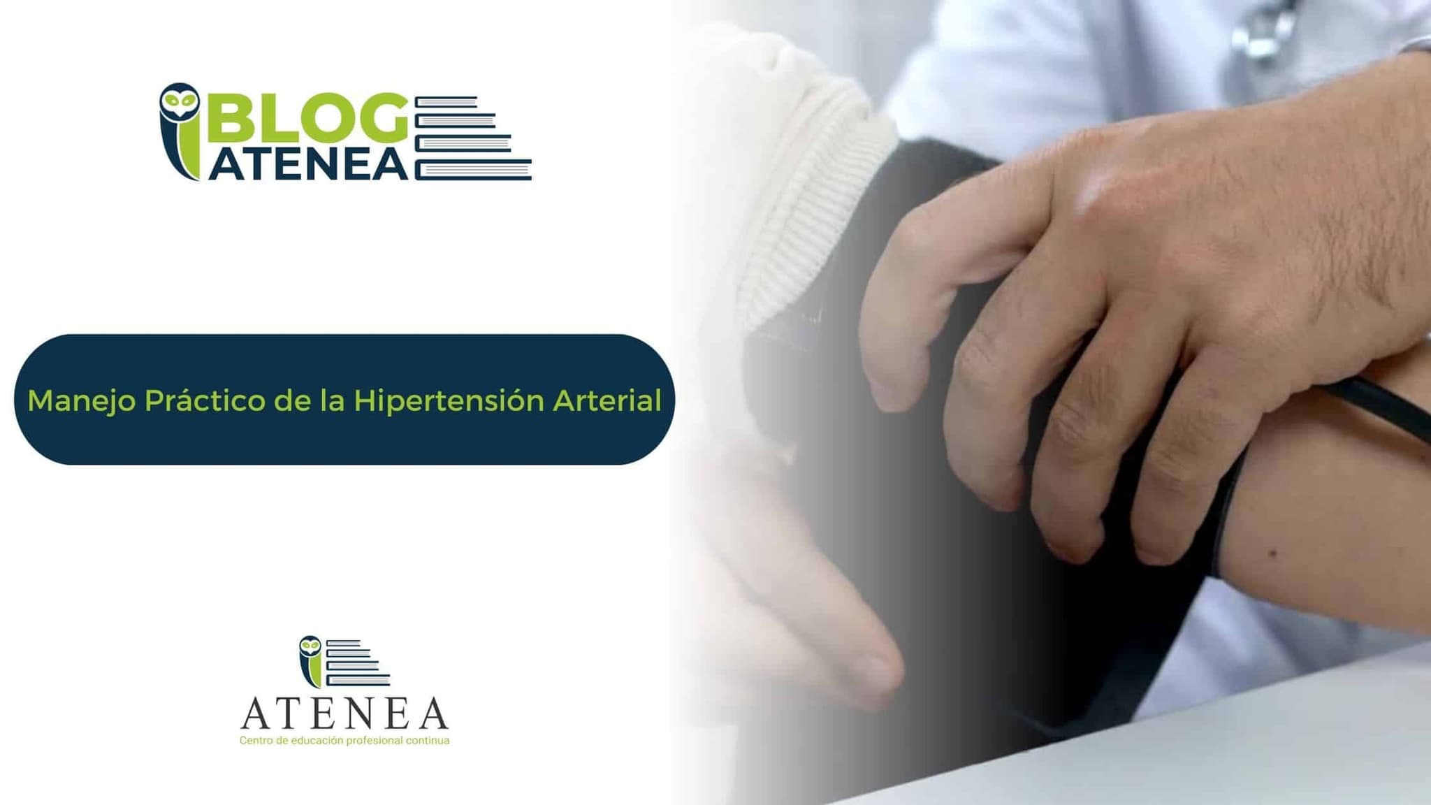 Hipertensión Arterial: Guía para Pacientes y Profesionales